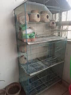 big size cage for multiple birds for sale