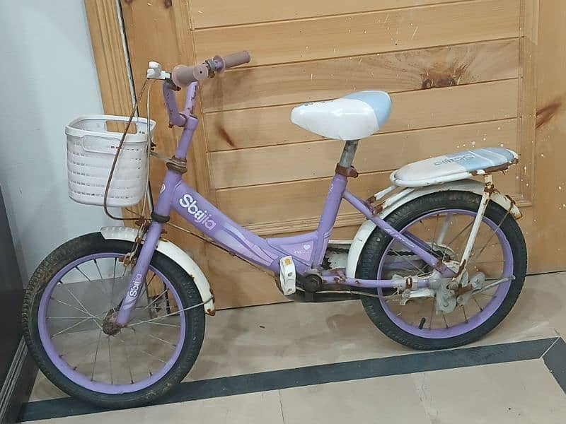 junior girls bike 1