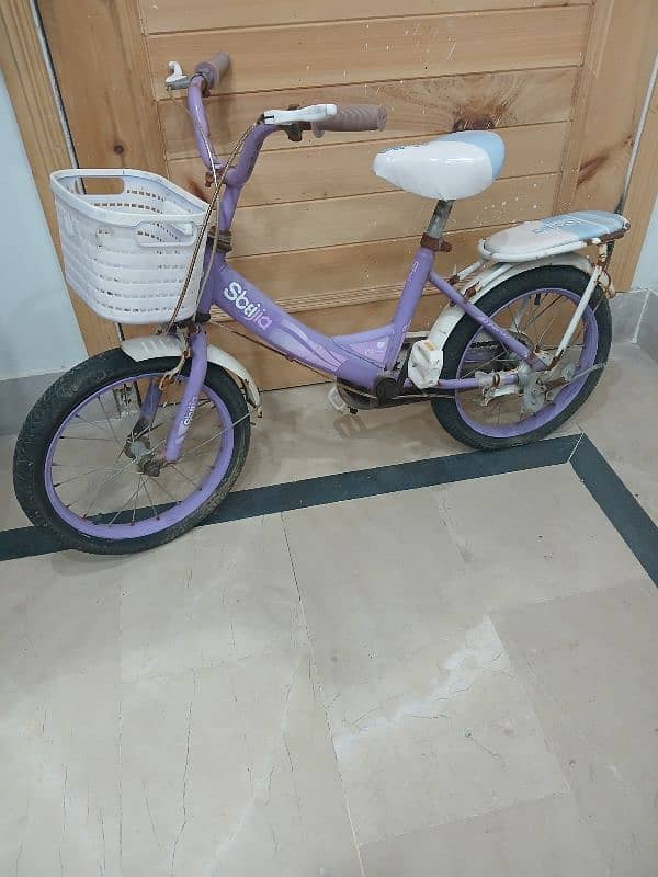 junior girls bike 2