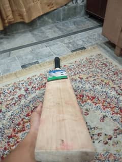 english willow hard ball bat