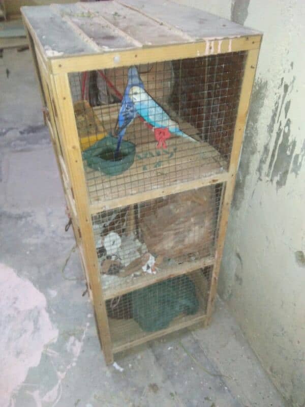 3 portition cage 0