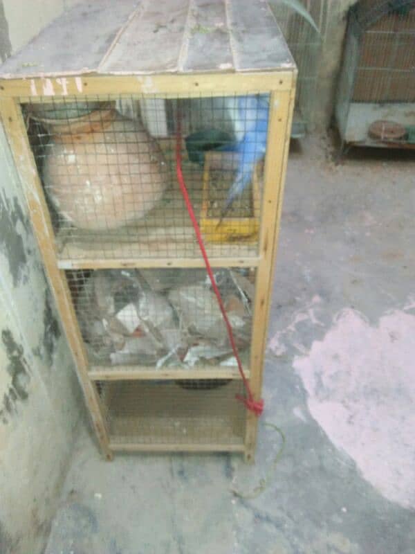 3 portition cage 2