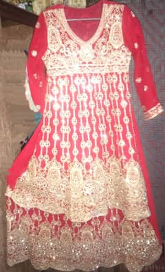 New Designer Bridal Lehenga - Red and Gold Embroidered Wedding Attire