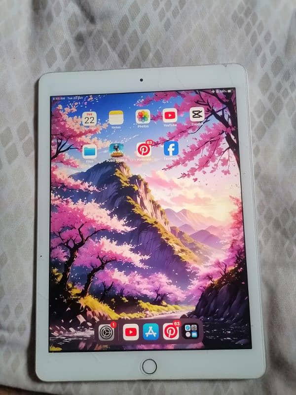 ipad 5 Genration 32GB storage condition 10/10 no problem 8