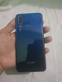 VIVO