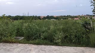 Residential Plot for Sale zamar Valley