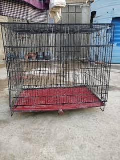 ALL CAGES FOR SALE