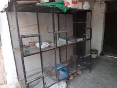 Used cage 10 by 10 condition 4 by 2 height