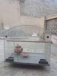 Birds Cage