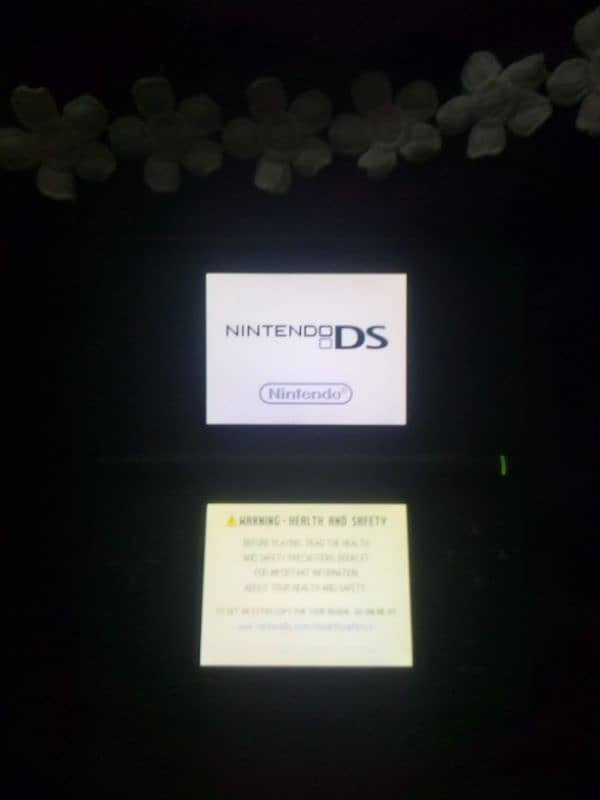 Nintendo DS 0