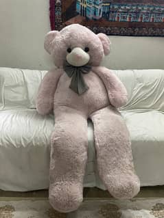 Big full sized teddy bear.