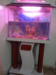 Fish Tanks Aquariums Price in Pakistan Fish Tanks Aquariums for Sale in Pakistan