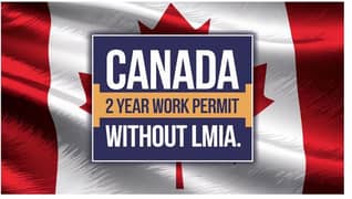 Canada work permit USA visit visa  UK work permit Ireland schenge work