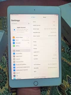 ipad mini 5