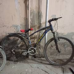 Cycle for sale