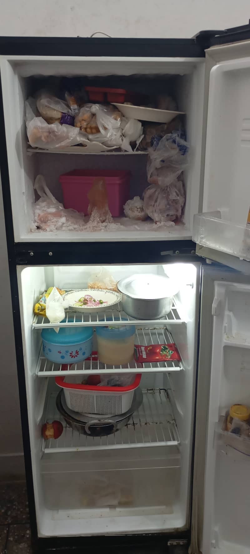 Pel Refrigerator 4