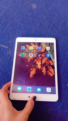 I pad mini2