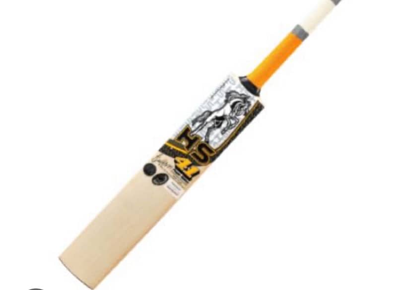 Hs bat used 1