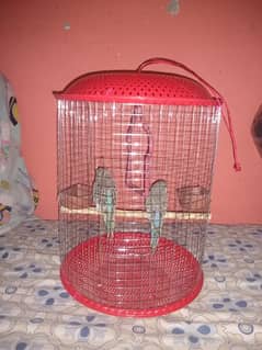 Parrot cages for sale