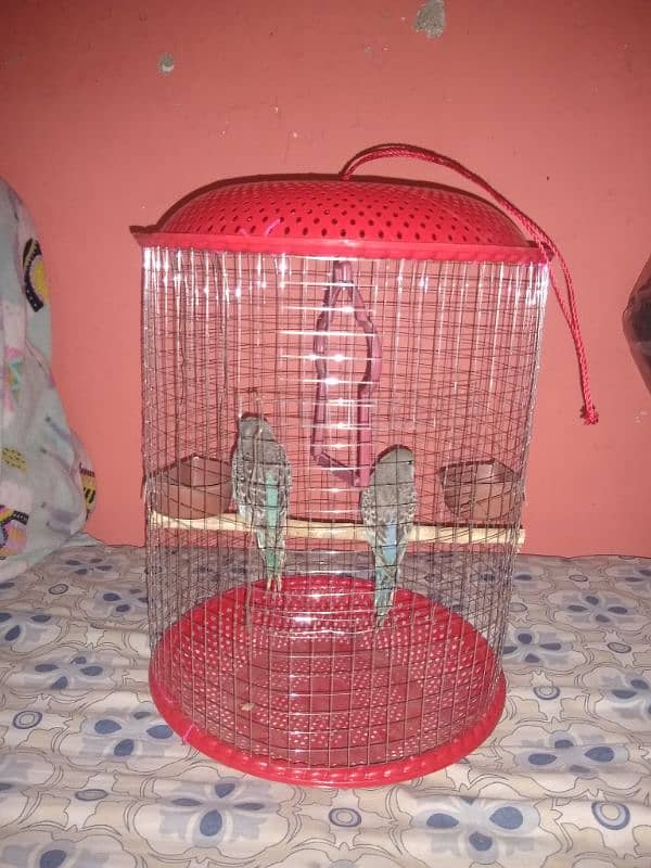 Parrot cages for sale 0