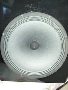 Pair of 12 inches subwoofer.