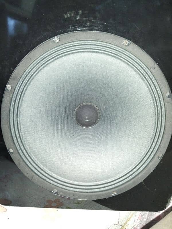 Pair of 12 inches subwoofer. 0