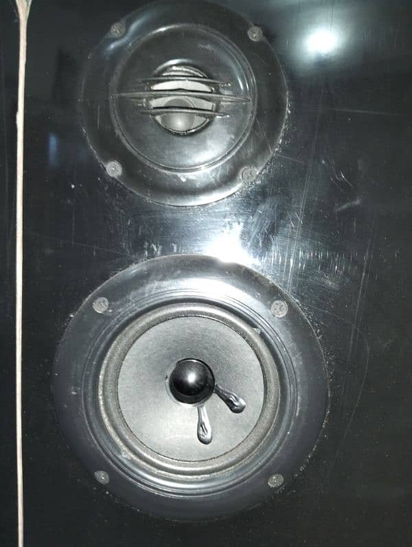 Pair of 12 inches subwoofer. 1