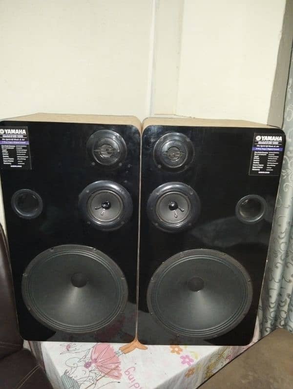 Pair of 12 inches subwoofer. 3