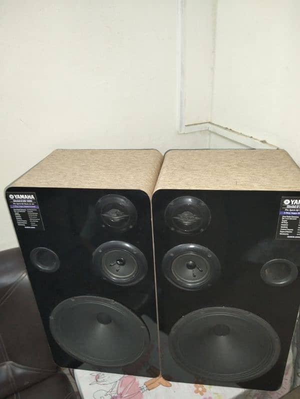 Pair of 12 inches subwoofer. 4