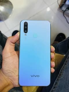 vivo