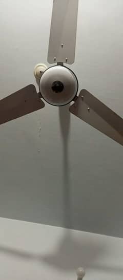 celling fan wahid fan