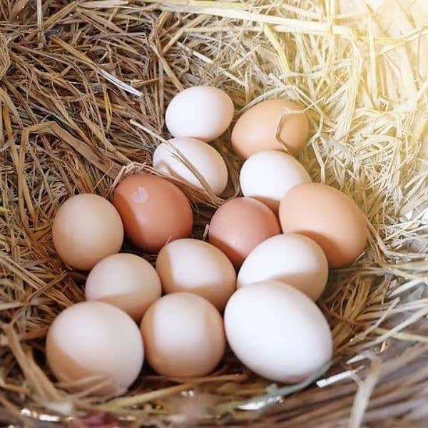 Desi Eggs available for sale 0