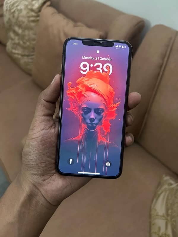 XS MAX 256 GB PTA approved 1