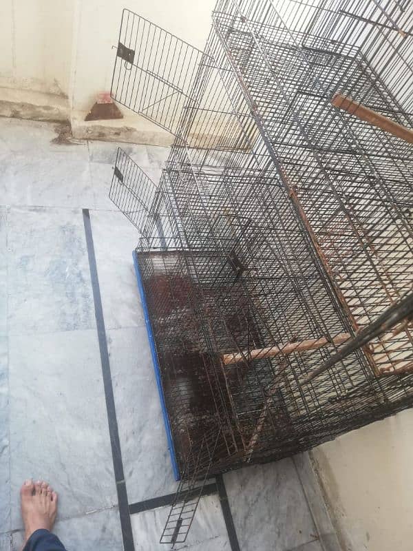 double partition cage 4 portion 2