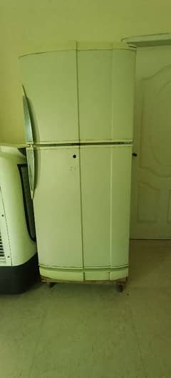 Pell fridge medium size urgent sale