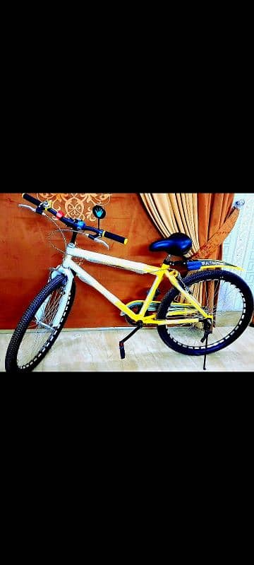 Brand new cycle no problem 10/10 Condition Phonix company 1