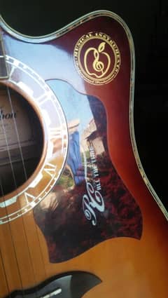 Cest si bon Branded Guitar whatsapp 03086963647