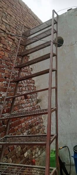 ladders 3