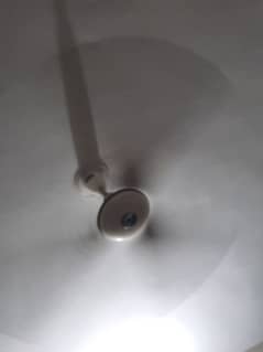 ceiling fan