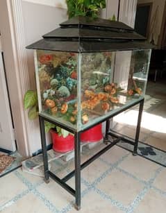 Aquarium for sale