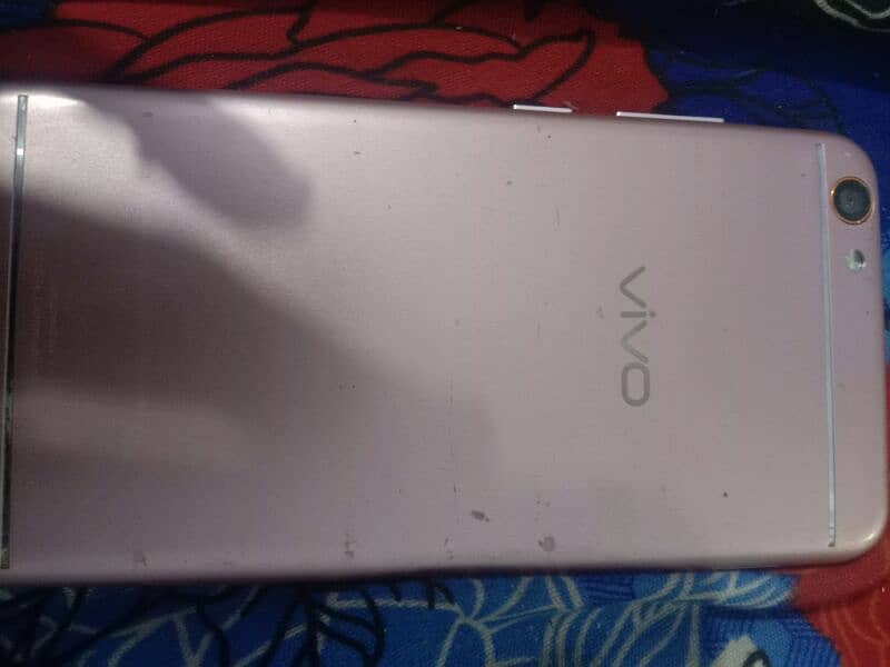 vivo66 1