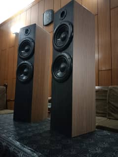 Svs Tower speakers 6 inch