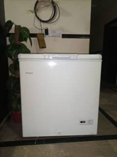 Haier One Door Deepfreezer inverter