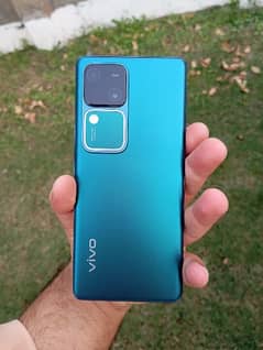 VIVO