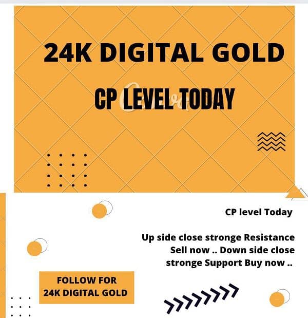 HGW 24K Digital Gold 1