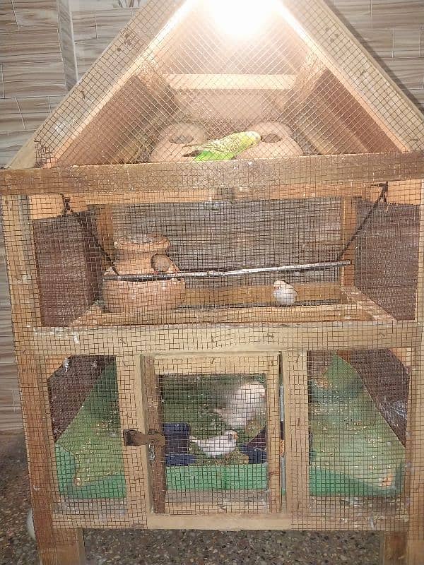 Cage for sale with parrot 0