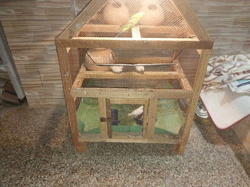 Cage for sale with parrot 2