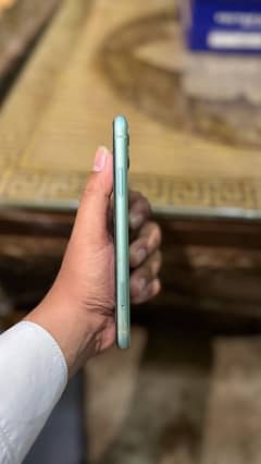 Iphone 11  (Green colour)