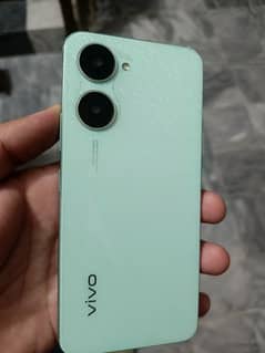 vivo