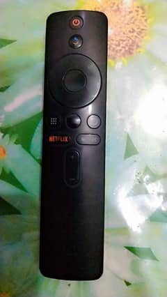 mi company with Bluetooth remote